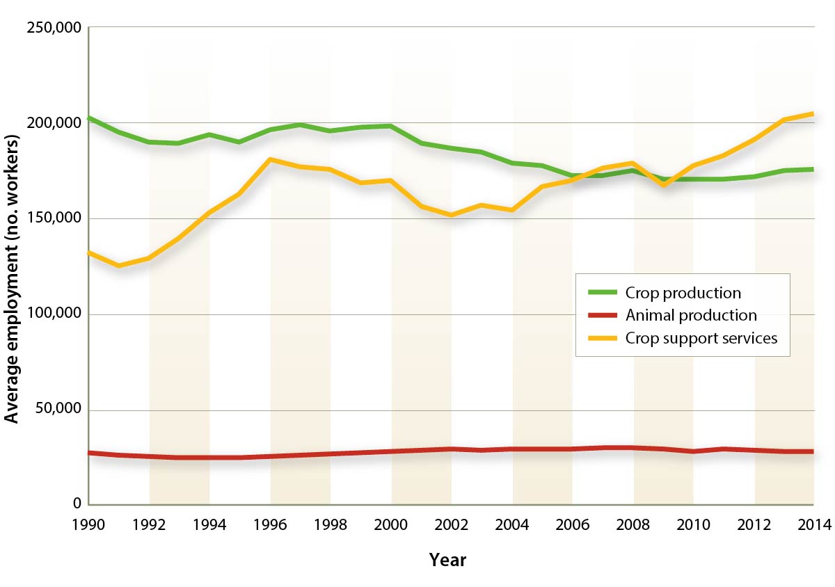 Average crop, animal and crop support employment in California agriculture, 1990–2014.