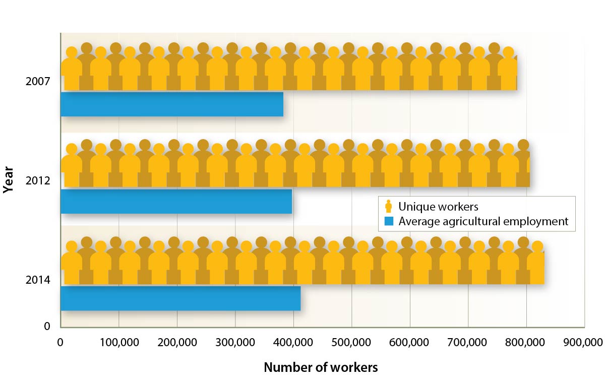 Average agricultural employment and unique workers, 2007, 2012 and 2014.
