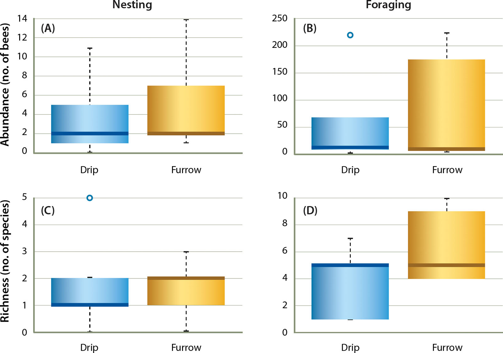 Irrigation method did not affect the abundance or species richness of nesting bees (A, C) or foraging bees (B, D) in sunflower fields. Boxes are upper and lower quartiles, dark bar is the mean, whiskers show the maximum and minimum values, and points are outliers.