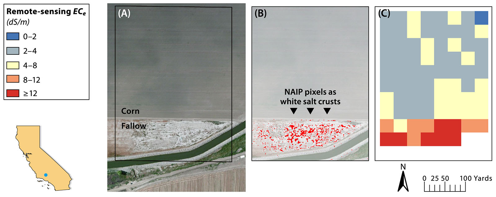 (A) National Aerial Imagery Program (NAIP) 2014 image of a site in Bakersfield (Kern County), where the field in the north was cultivated with corn (Zea mays L.) and the field in the south was fallow; (B) NAIP pixels classified as white salt crusts by supervised classification (red pixels); (C) remote-sensing estimations for root zone salinity.
