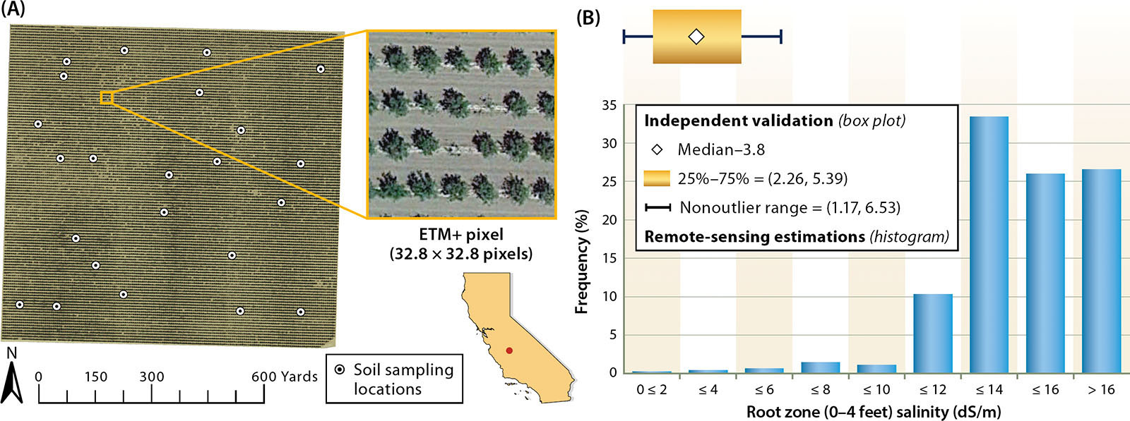 (A) Independent soil sampling over a 150-acre almond (Prunus dulcis Mill.) orchard in Kern County (B) compared with remote-sensing estimations of root zone salinity.