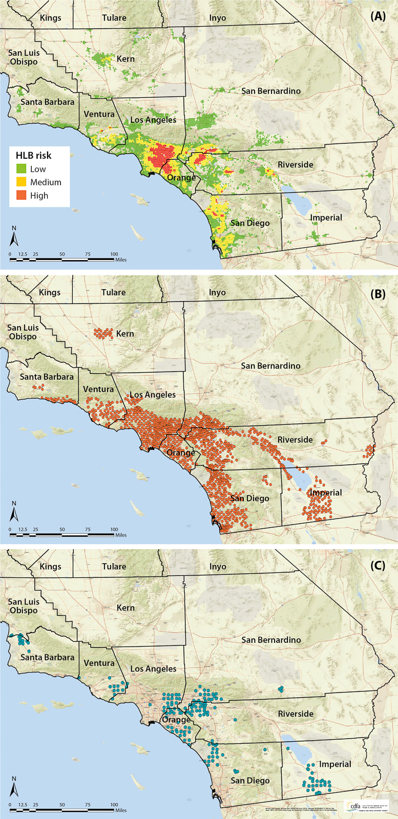 (A) Huanglongbing risk grids generated by USDA researchers in 2016. Southern California release locations through 2016 of the psyllid parasitoids (B) Tamarixia radiata and (C) Diaphorencyrtus aligarhensis.