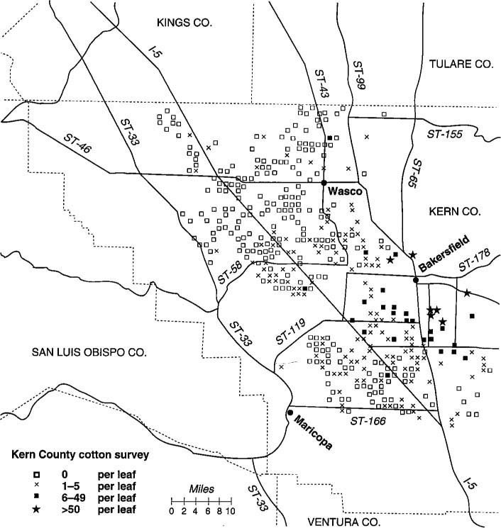 Kern County cotton fields were sampled in second survey to determine relative densities of whiteflies in the genus Bemisia.
