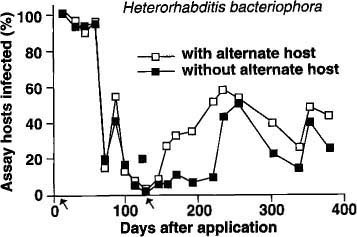 Mean percentage of nematode-infected bioassay insects (Galleria) recovered in 1 year from soil treated with Heterorhabditis bacteriophora. (Arrows indicate times when the alternate host was added to planters.)