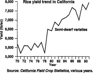Yields of semi-dwarf japonica rice varieties grown in California have increased from less than 6,000 pounds per acre in 1970 to more than 8,000 pounds in 1991.