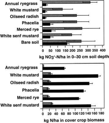 Mean nitrate content in the top 30 cm of soil, and N in the aboveground biomass of six cover crops compared to a bare soil control at mid-season in January (gray) and at incorporation in March (black), in an experimental trial in Salinas in 1990.