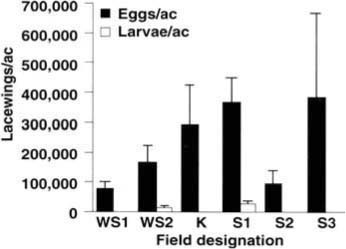 Naturally occurring densities of lacewing eggs and larvae in six fields sampled during the late season (August 26 - September 2, 1992) in San Joaquin Valley cotton. Five plants were sampled in each field except for field S1, in which 48 plants were sampled. Field K had been treated with methamidophos June 24 for Lygus control, and field S3 had been treated with chlorpyrifos August 4 for aphid control; all other fields were never treated. Shown are means plus one standard error of the mean. No lacewing larvae were recovered from fields WS1, K, S2 or S3. WS = West Side Field Station; K = Kearney Agricultural Center; S = UC Cotton Research Station, Shafter.
