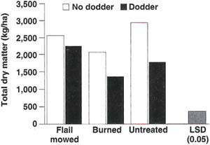Effects of mowing and burning alfalfa with and without attached dodder on total dry matter production at the following harvest (an average of data from two experiments, 1989 and 1991).
