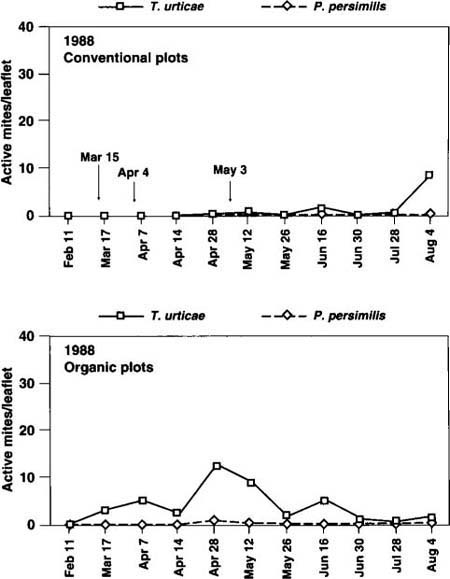 Seasonal dynamics of pest TSSM (Tetranychus urticae) and beneficial (Phytoseiulus persimilis) mite populations, 1988. Arrows indicate dates of acaricide applications in conventional treatment plots.