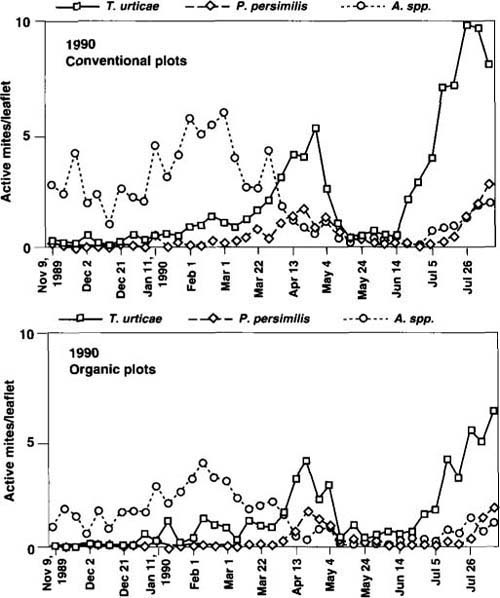 Seasonal dynamics of pest TSSM (Tetranychus urticae) and beneficial (Phytoseiulus persimilis and Amblyseius spp.) mite populations, winter 1989 through 1990 harvest.