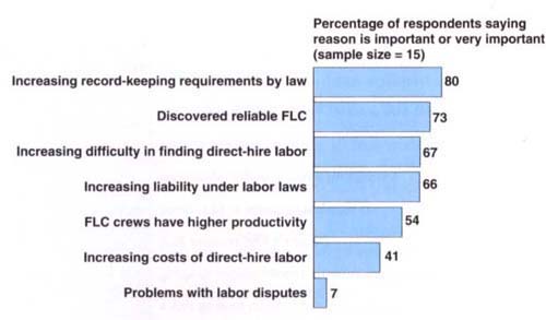 Reasons growers hired a higher proportion of FLC labor.