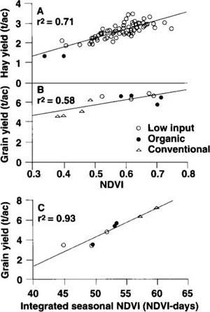 (A). Relationship between NDVI and hay yield for each plot shown in figure 2. Solid symbols (2 overlap) indicate 3 plots not used for the long-term experiment because of unusually low NDVI and yield; (B) Relationship between NDVI on August 1, 1994, and subsequent corn grain yield at SAFS; (C) Relationship between NDVI (integrated over growing season) and corn grain yield at LTRAS. Symbols as in B, but cropping systems at SAFS and LTRAS are not identical.