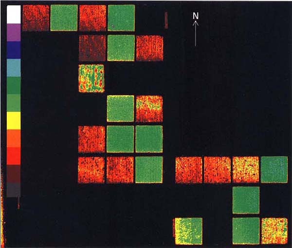 NDVI at LTRAS on August 1, 1994. All corn plots were uniformly green on this date. Tomato plots (red and yellow) had lower NDVI and were more variable because of incomplete ground cover. NDVI ranges from 0 (black) to 1 (white).