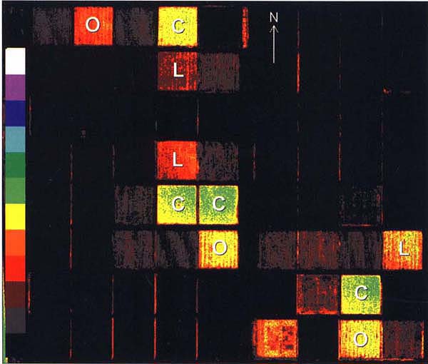 NDVI at LTRAS on June 13, 1994. Conventional (C), low-input (L) and organic (O) corn plots are indicated. NDVI ranges from 0 (black) to 1 (white).
