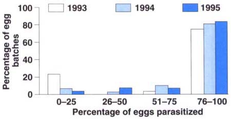Frequency distribution of the percentage of eucalyptus longhorned borer eggs within a batch that were parasitized by Avetianella longoi. Egg batches were collected in San Diego and Riverside counties in summer and fall of 1993 (N = 40 batches), 1994 (N = 97 batches), and 1995 (N = 63).