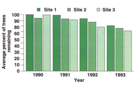 Average percent of survival at three sites, 1990-1993. 
