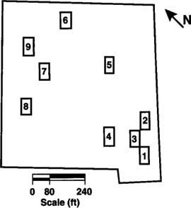 Map of 12-acre study site, showing position of nine study plots, 40 vines each. At the time the plots were established in May 1993, visual assessments of vine roots determined that plots 1–3 were severely infested, plots 4–6 were lightly to moderately infested and plots 7–9 were not infested.