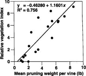 Mean per-vine pruning weight in each study plot vs. mean relative vegetation index assigned to each plot by processing of images acquired in 1993 and 1994. No significant difference was seen in the slope of the 1993 and 1994 regression lines. Strong goodness-of-fit (r2 = 0.76) for the combined regression underscores the effectiveness of the relative NDVI approach to monitoring canopy size over time.