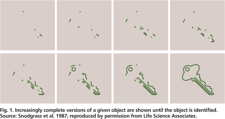 Increasingly complete versions of a given object are shown until the object is identified. Source: Snodgrass et al. 1987; reproduced by permission from Life Science Associates.