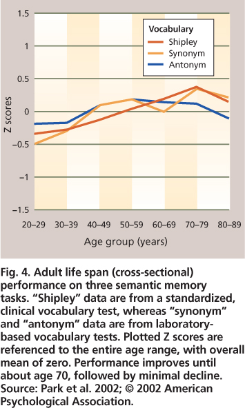 Adult life span (cross-sectional) performance on three semantic memory tasks. “Shipley” data are from a standardized, clinical vocabulary test, whereas “synonym” and “antonym” data are from laboratory-based vocabulary tests. Plotted Z scores are referenced to the entire age range, with overall mean of zero. Performance improves until about age 70, followed by minimal decline. Source: Park et al. 2002; © 2002 American Psychological Association.