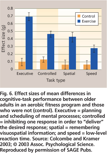 Effect sizes of mean differences in cognitive-task performance between older adults in an aerobic fitness program and those who were not (control). Executive = planning and scheduling of mental processes; controlled = inhibiting one response in order to “deliver” the desired response; spatial = remembering visuospatial information; and speed = low-level reaction time. Source: Colcombe and Kramer 2003; © 2003 Assoc. Psychological Science. Reproduced by permission of SAGE Pubs.