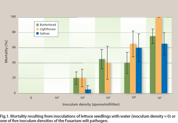 Mortality resulting from inoculations of lettuce seedlings with water (inoculum density = 0) or one of five inoculum densities of the Fusarium wilt pathogen.