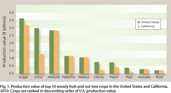 Production value of top 10 woody fruit and nut tree crops in the United States and California, 2010. Crops are ranked in descending order of U.S. production value.