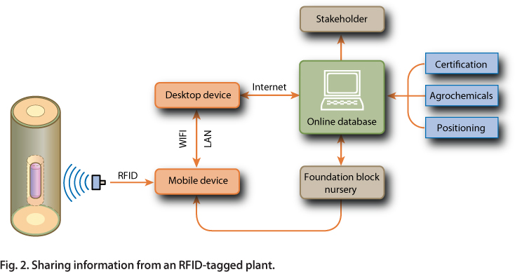 Sharing information from an RFID-tagged plant.