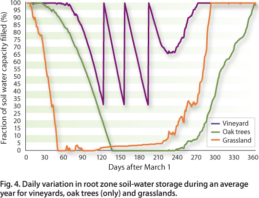 Daily variation in root zone soil-water storage during an average year for vineyards, oak trees (only) and grasslands.