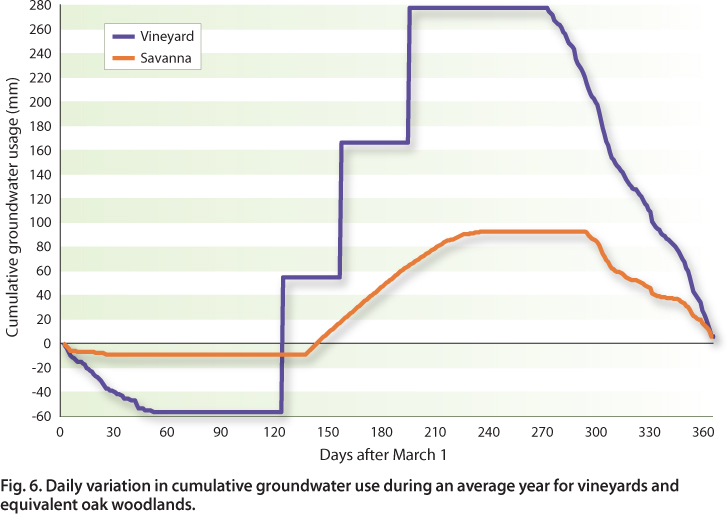 Daily variation in cumulative groundwater use during an average year for vineyards and equivalent oak woodlands.