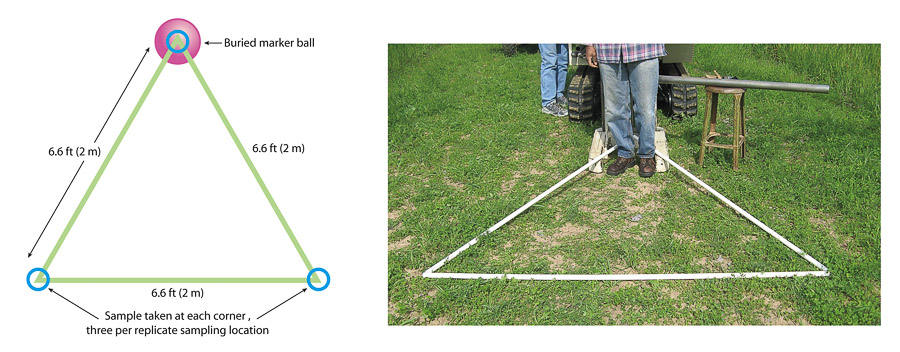 Triangle layout for sampling soil cores. One core was sampled at 3.3 feet (1 meter) depth at each corner of the triangle, and the marker ball was buried 3.3 feet deep at the north point of the triangle. GPS locations were recorded for each corner of the triangle.