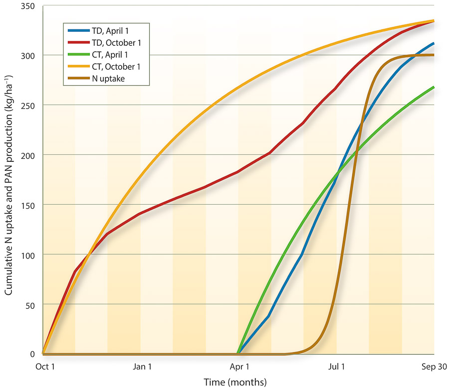 Cumulative crop N uptake and the cumulative amount of plant-available nitrogen (PAN) production for organic material applied on April 1 or Oct. 1. The temperature is assumed constant (CT) for one set of data, and for the second set mineralization is adjusted for temperature dependence (TD) at different times of the year.