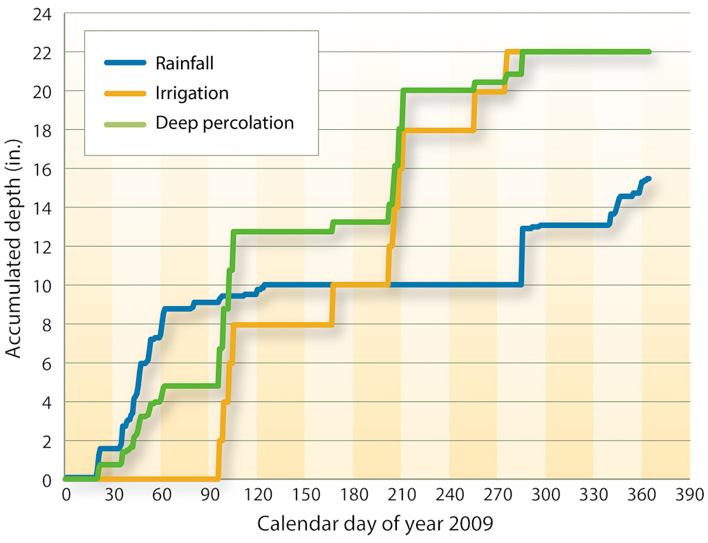 Accumulated rainfall, irrigation and deep percolation depths at control site, 2009.