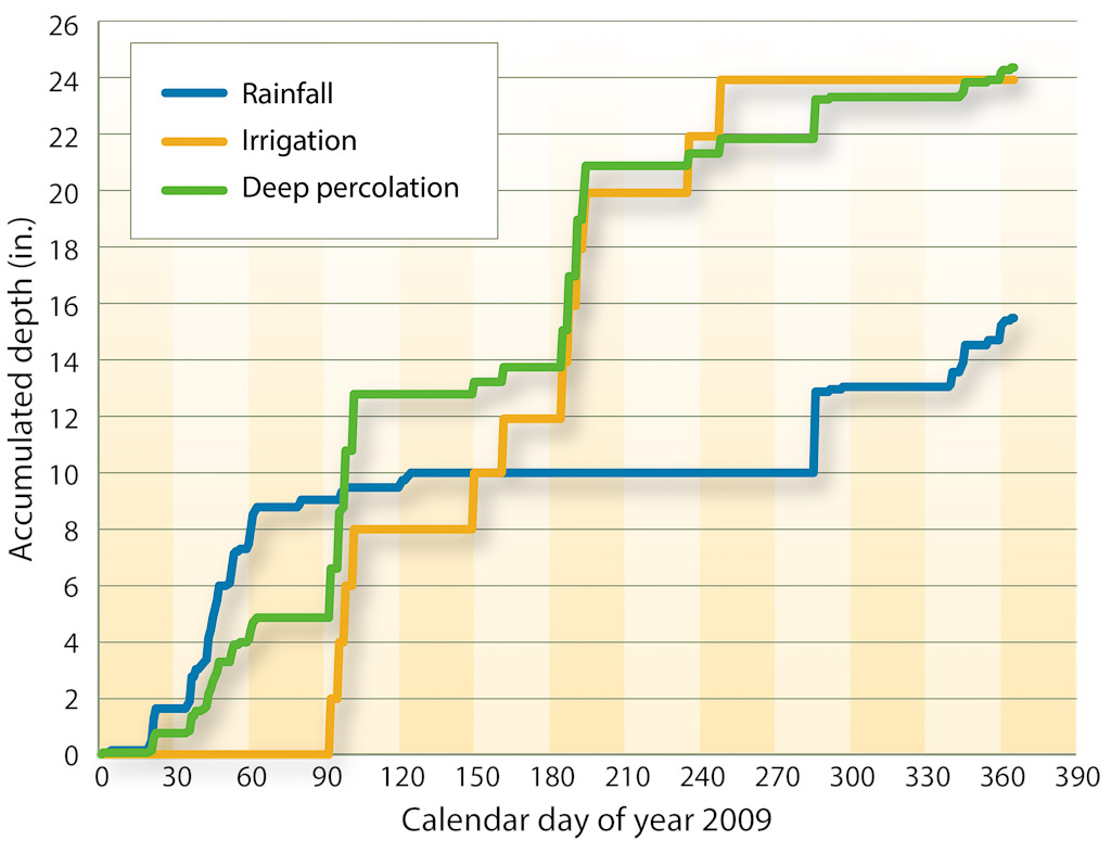 Accumulated rainfall, irrigation and deep percolation depths at site 6, 2009.