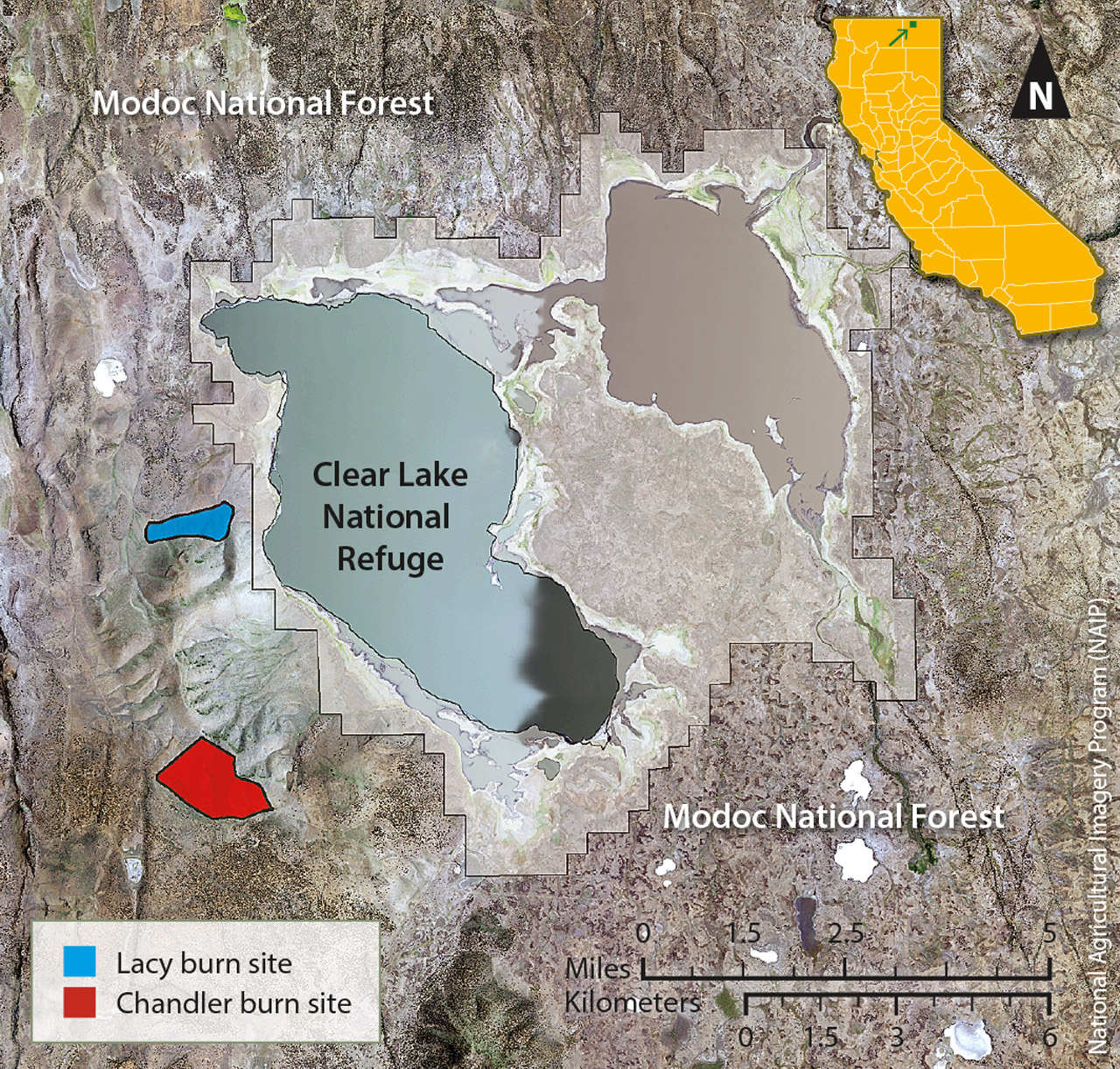 Location of the study sites in the Clear Lake Hills, Modoc County, California.