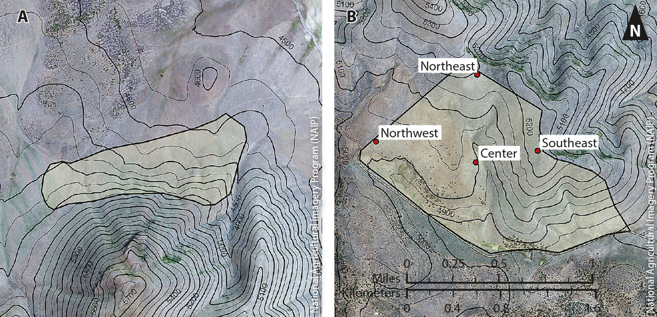 Topography of the Lacy site (A), and the Chandler site with the four sampling areas (B).