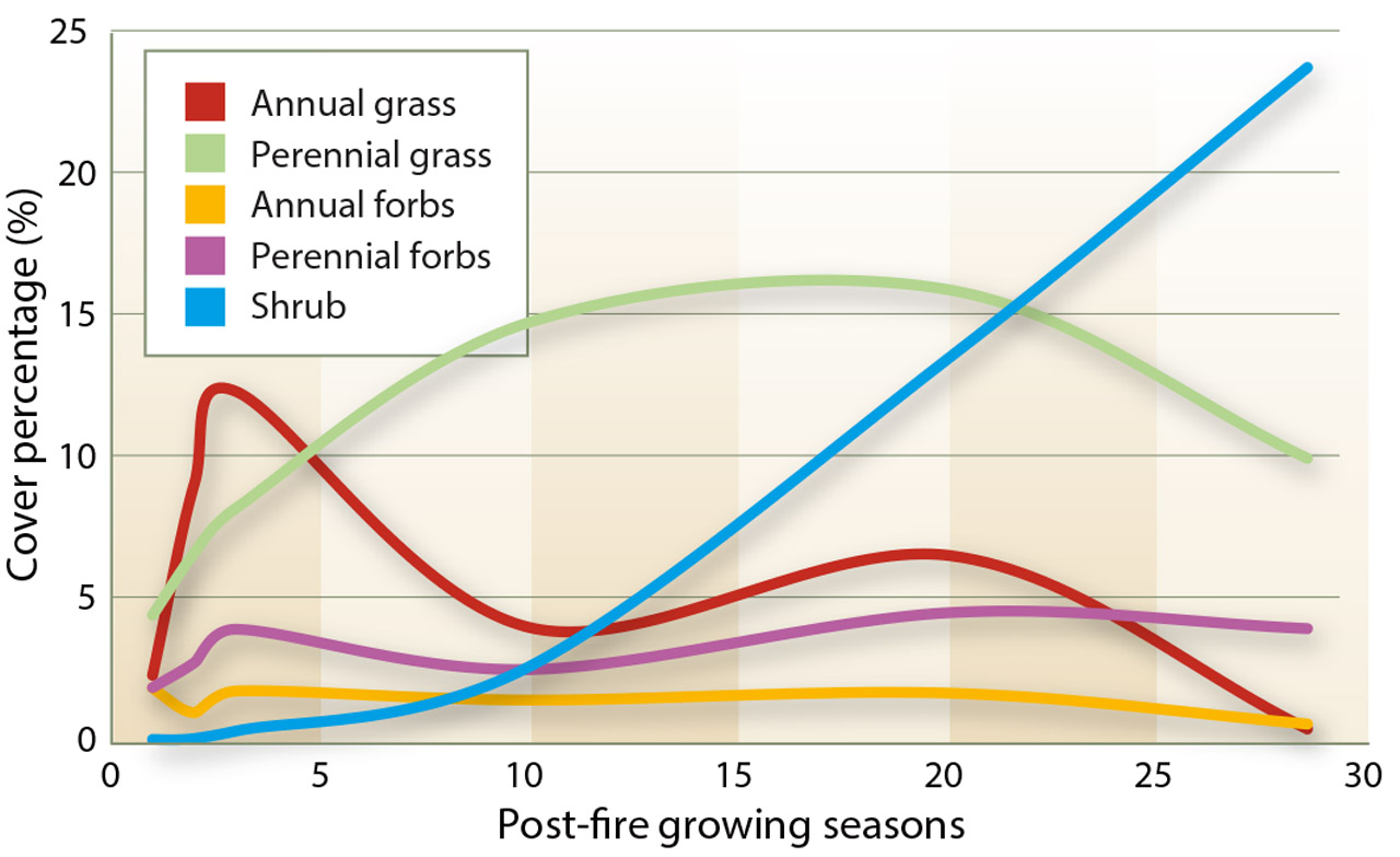 Mean percentage of vegetative cover at the Lacy and Chandler sites over 28 growing seasons, by morphological group.