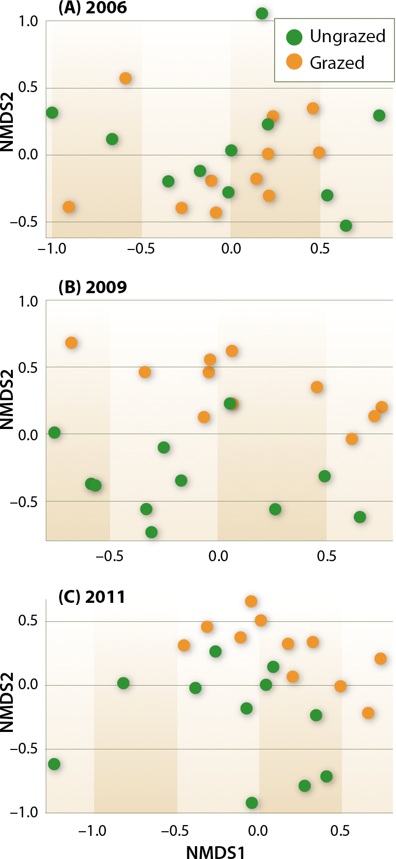 Overall plant community changes between grazed and ungrazed plots in 2006 (A), 2009 (B) and 2011 (C) based on NMDS ordination. In 2006, no difference in species composition was detected between grazed and ungrazed plots, as indicated by the intermingled dots (A). In 2009 and 2011, the dots diverge, indicating a significant difference in plant species composition between grazed and ungrazed plots after grazing was initiated (B and C). Significance values for differences between grazed and ungrazed plots were P = 0.68, P < 0.01 and P < 0.01 for 2006, 2009 and 2011, respectively.