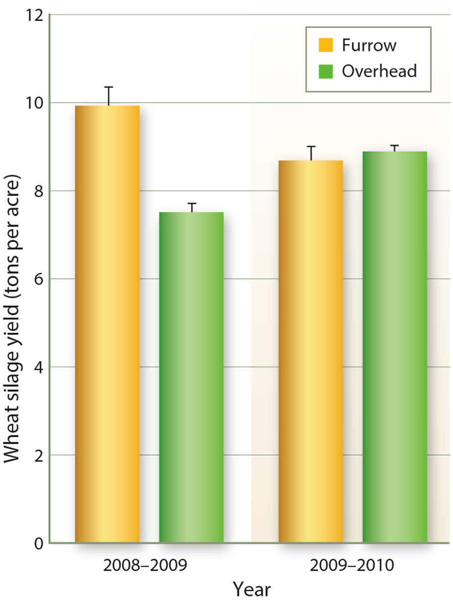 Wheat silage biomass yield for furrow and overhead irrigation plots, Five Points, 2008–2009 and 2009–2010.