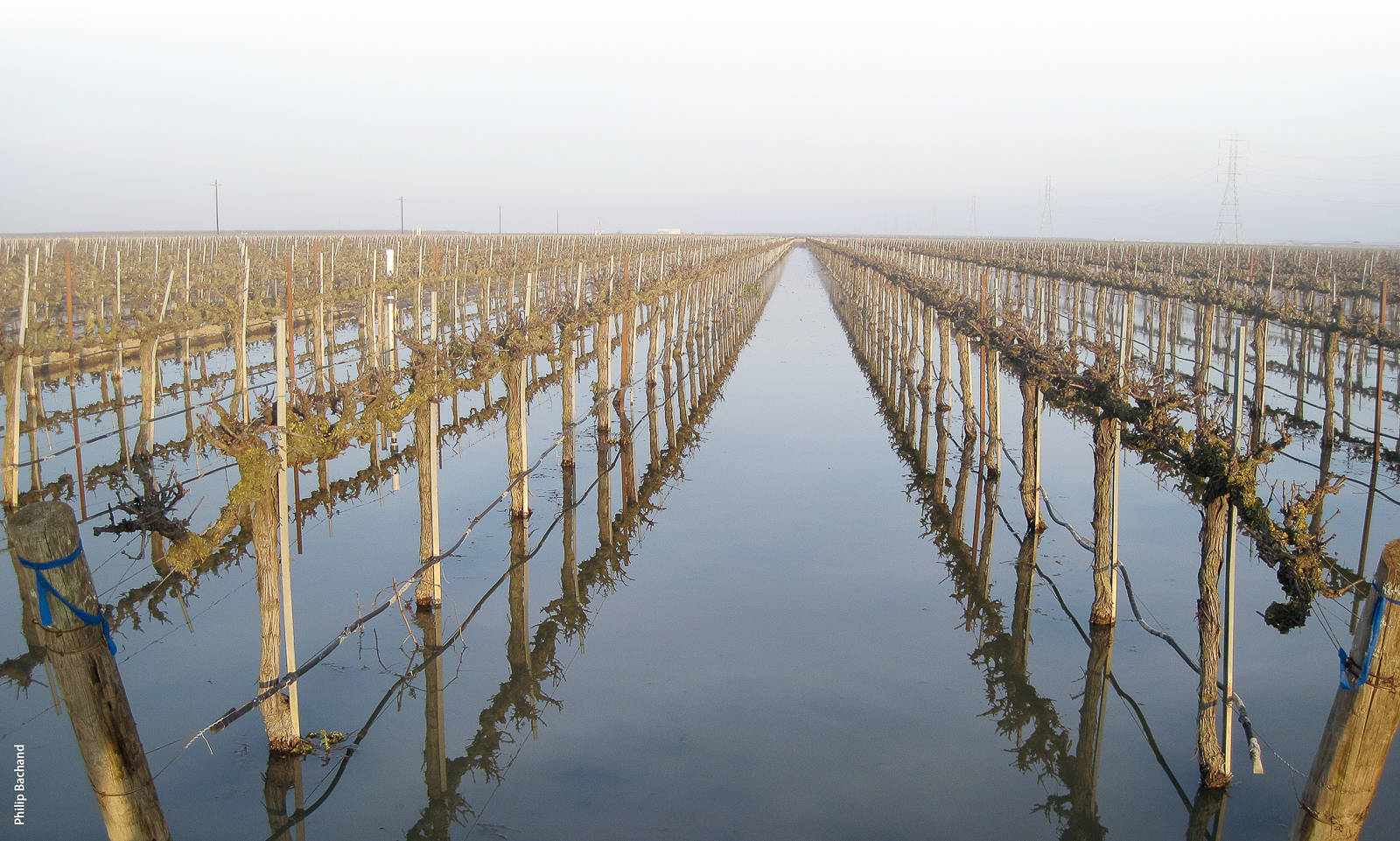 Irrigation districts and water agencies are considering on-farm flood capture as a tool for increasing groundwater resources and managing increasingly variable precipitation due to climate change.