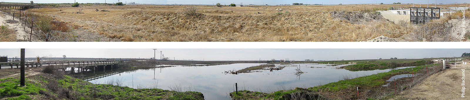 Panoramic picture of the James Bypass from the Terranova Ranch in October 2010 (top) and early February 2011 (below) from the Highway 145 overpass to the James Weir. Flood flows occur approximately on a 2-year interval, but the James Bypass can be dry for years at a time or flooded for several months consecutively.