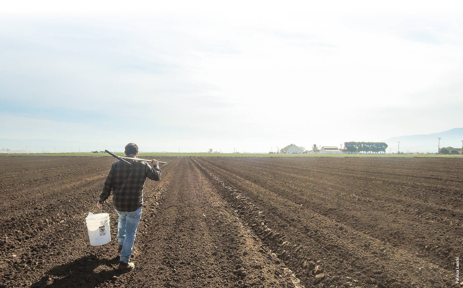 Preplant soil samples should be taken in spring, as closely as possible to a planned fertilizer application and after any pre-irrigation.