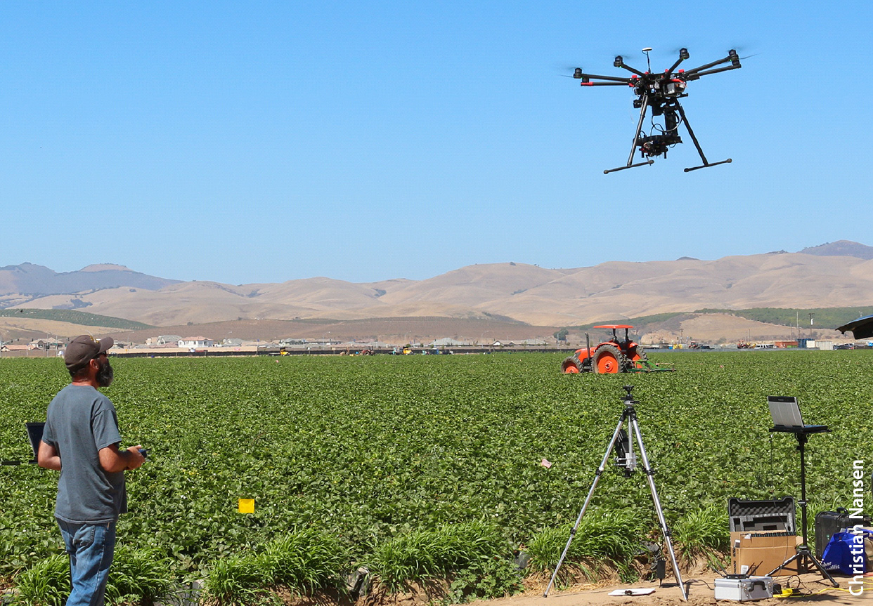 Robert Starnes, a senior superintendent of agriculture in the UC Davis Department of Entomology, flies a drone over a field of strawberries in San Luis Obispo County to study how reflectance data may help detect outbreaks of spider mite, a common pest.