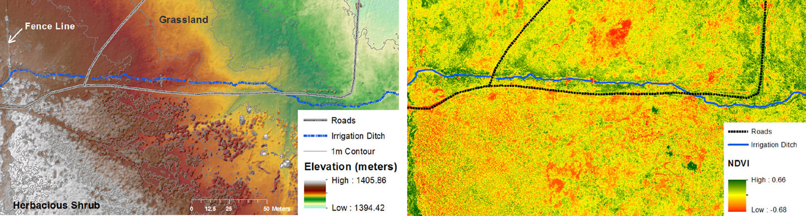 High-resolution imagery gathered from a drone can be used to assess rangeland condition and forage production. The above images show 12 acres of rangeland in Inyo County. The image at left is a digital surface model (DSM) with a resolution of 0.8 inches, generated from digital photographs. Fine resolution DSMs like this can be used over time to monitor vegetation growth, and hence forage production. The image at right, captured by a Parrot Sequoia multispectral camera, shows the normalized difference vegetation index (NDVI) at a resolution of 1.45 inches. The NDVI is a measure of the relative absorbance of near-infrared and visible light and can be used to distinguish green vegetation (shown in the image as green) from stressed, dying or dead vegetation (shown as yellow to red in the image).