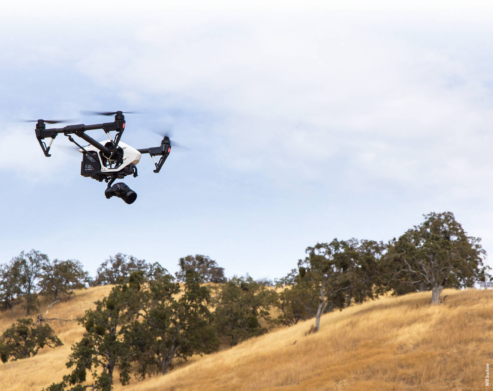 The Inspire 1 drone, made by DJI, flies with an RGB camera over the UC Berkeley Blue Oak Ranch Reserve in Santa Clara County.