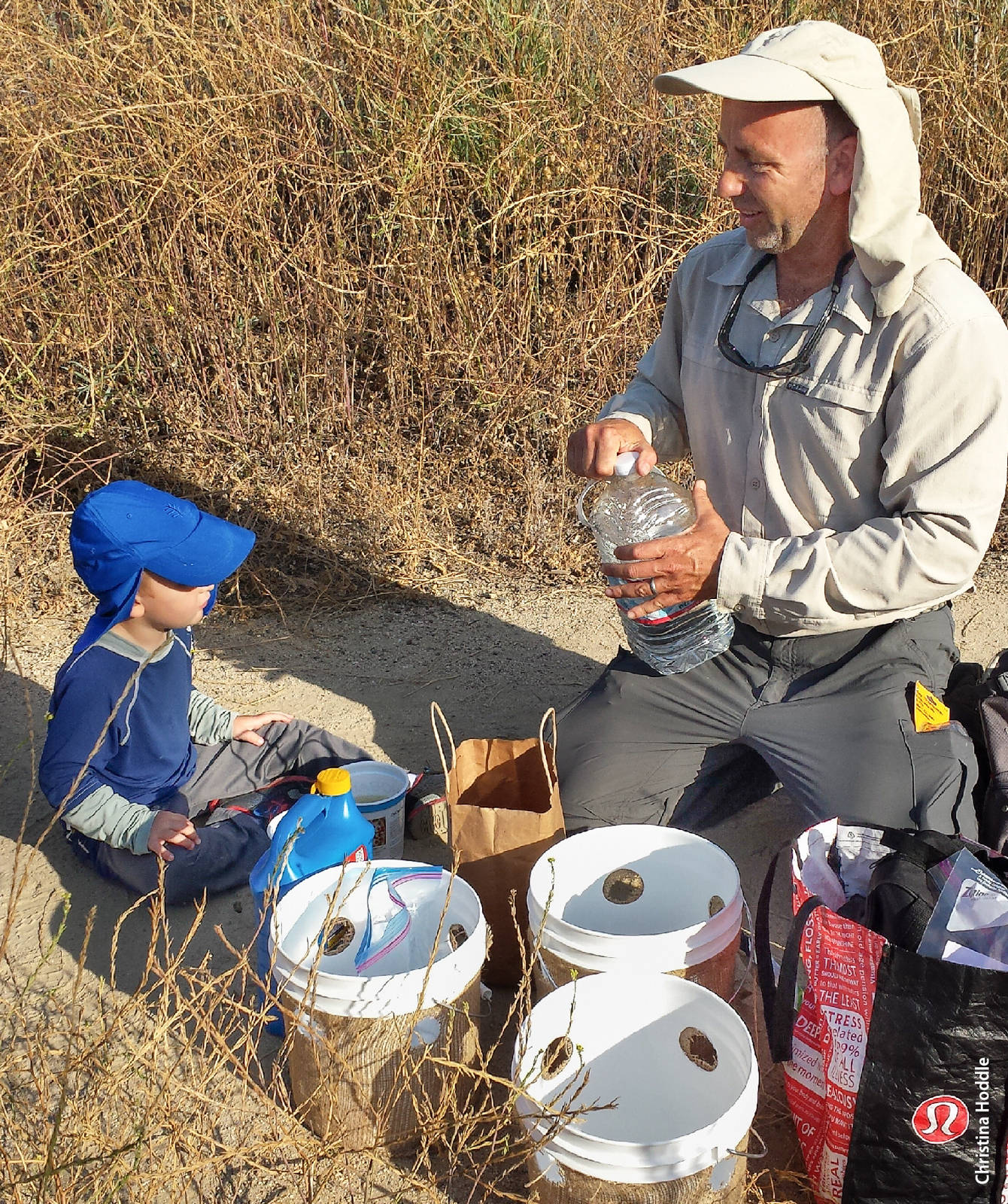 UC Riverside entomology specialist Mark Hoddle and his son, Nicholas, set weevil traps along the Sweetwater River Trail in San Diego County, a natural area where weevils have infested many unmanaged Canary Island palms.