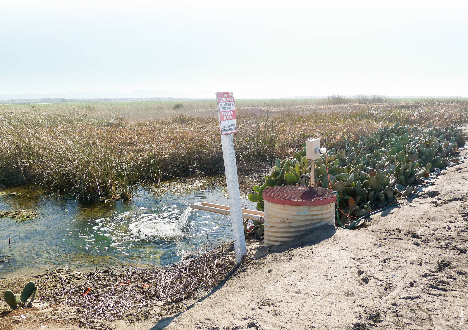 Using carbon enrichment in wood chip bioreactors can reduce nitrate-nitrogen levels in drainage water from Salinas Valley vegetable fields. In this photo, tile drain water is pumped from a collection sump into a surface ditch that eventually drains into coastal wetlands.