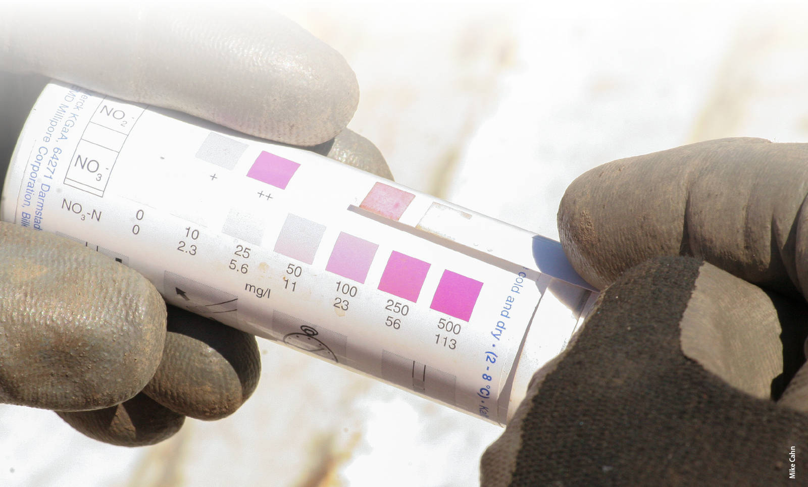 Inexpensive nitrate test strips allow on-farm estimation of irrigation water NO3-N concentration. In Salinas Valley irrigation wells, levels of NO3-N commonly range from 10 to 40 mg/L, which could supply a substantial portion of crop N requirements.