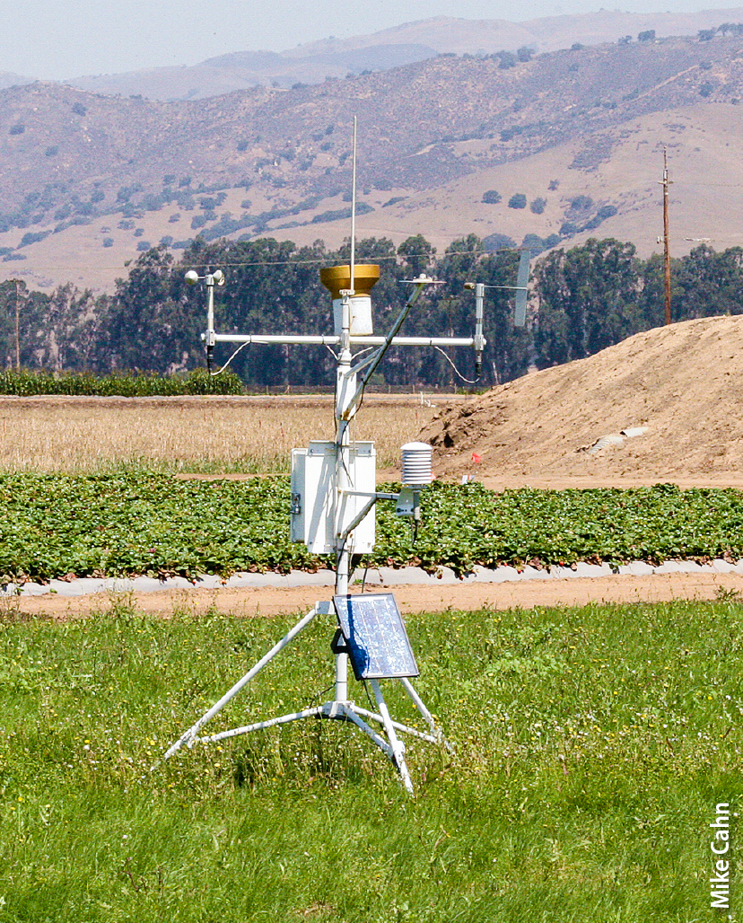 An on-site CIMIS weather station provided accurate evapotranspiration data. Each N treatment was evaluated at two levels of irrigation — 110% and 160% of ETc.