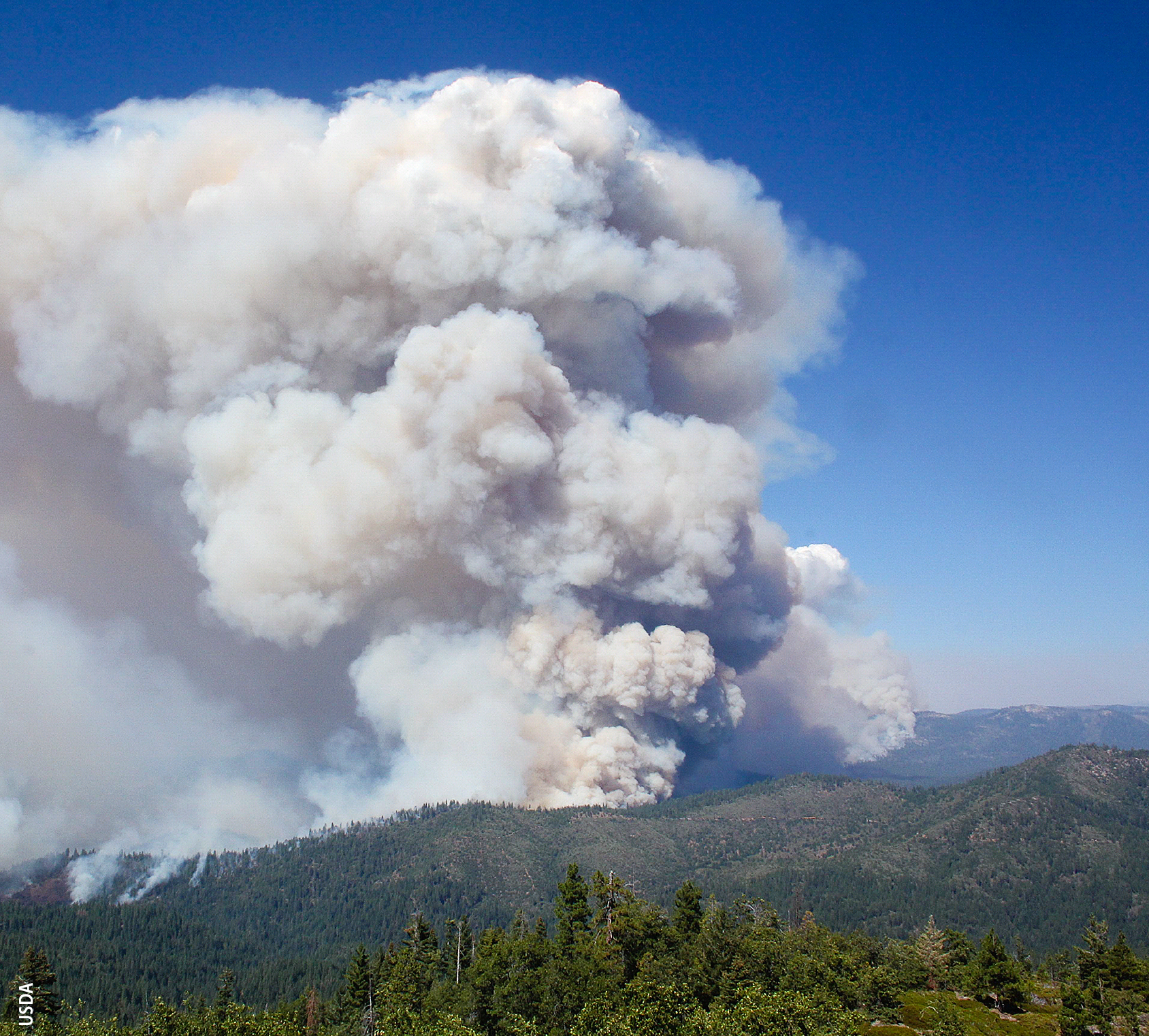 The Rim Fire near Yosemite National Park burned 400 square miles in 2013. Results from a UC Davis School of Veterinary Medicine study suggest that exposure to wildfire smoke during infancy may compromise lung function in adolescence.